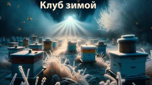 Зимний клуб пчел: Как выживает семья? Объясняет профессор Кашковский
