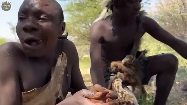 Выживание в Африке. смотреть онлайн