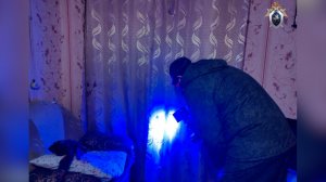 Приговор сыну за гибель матери