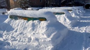 На пасеке перед морозами 22.01.26
