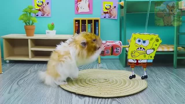 Маленький хомячок и Губка Боб в ссоре, и мама Минни в ярости! смотреть онлайн