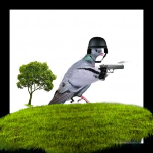 трансляция по чг