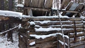 Дневник охотника.След медведя.Соболь.День 14-й.