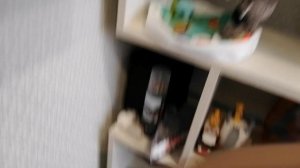 ОБЗОР/НОВЫХ ВЕЩЕЙ/БАСИКОВ&ЛИЛИ👾