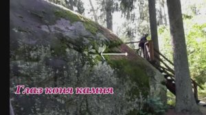 Остров Коневец Конь камень