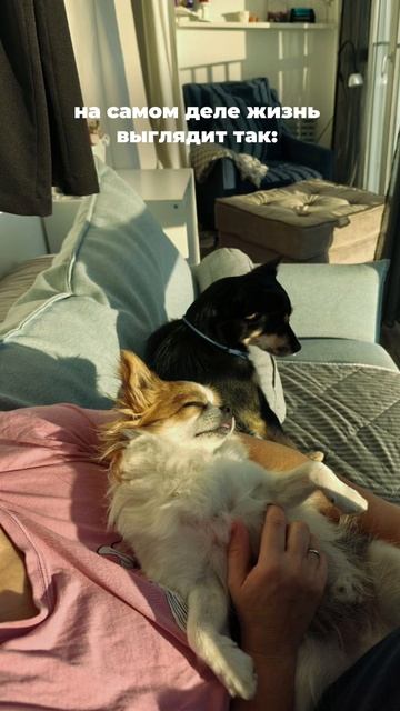 Как Выглядит Жизнь Миллионера смотреть онлайн