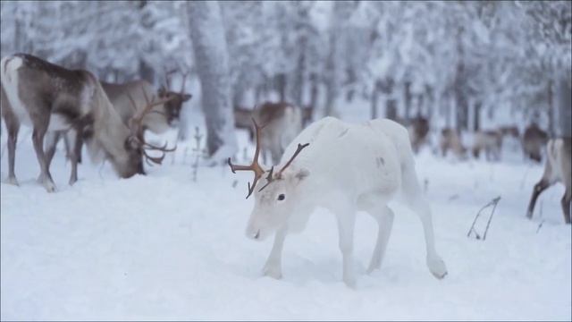 Роковой Порог. День меняющий судьбу. смотреть онлайн