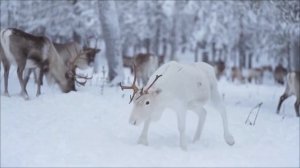 Роковой Порог. День меняющий судьбу.