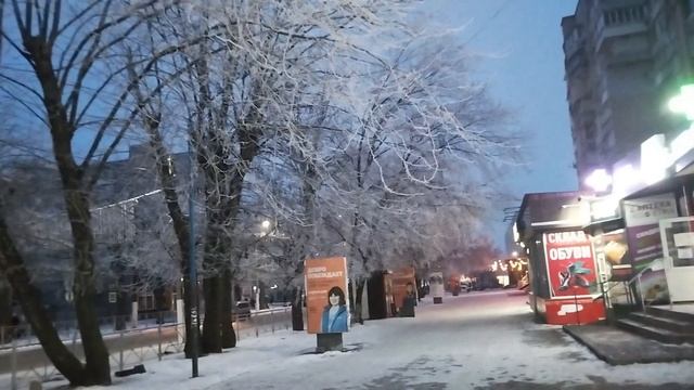 22.01.2025 засеребрила зима, ветки деревьев! смотреть онлайн