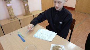 Агротехнологические классы на профильных занятиях в Брянском ГАУ.mp4