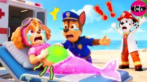 Щенячий патруль и Маршалл. Залипательное видео. Мультфильм для детей и малышей. Анимация 105