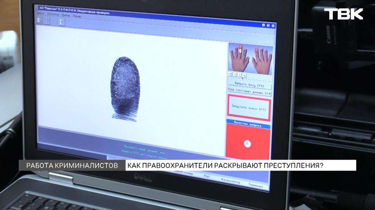 Какие технологии помогают красноярским правоохранителям раскрывать преступления? смотреть онлайн