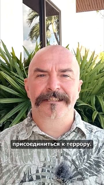 Про самостоятельность боевой организации смотреть онлайн