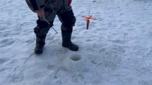 Поимки на пассив