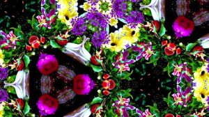 С Днём Рождения! Букеты роз 5 от Киностудии Мудрого Кота Тимофея!