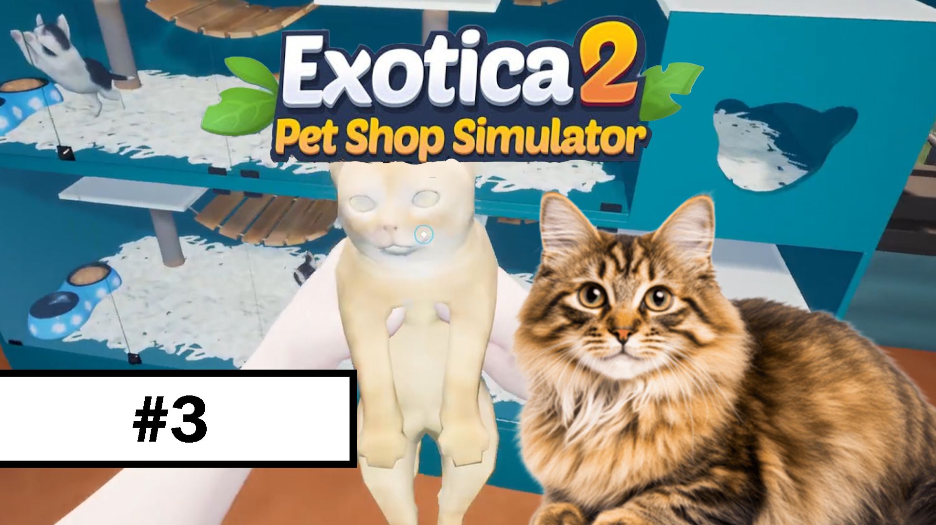 Exotica 2: Pet Shop Simulator ➤ Прохождение без комментариев | #3 смотреть онлайн