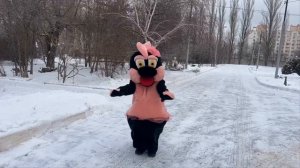 Северная ходьба