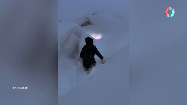 Залетело.22.01.2026 смотреть онлайн