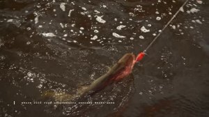 ИТОГИ ГОДА 2025 НА ПОЛНУЮ КАТУШКУ