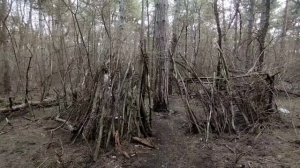 Северная Традиция - Огонь и Лёд