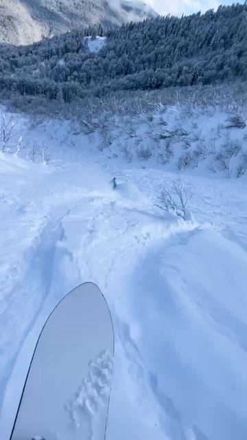 Фрирайд Сочи на мой День Рождения ! #shorts #сочи #фрирайд смотреть онлайн