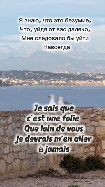 Учим французские песни