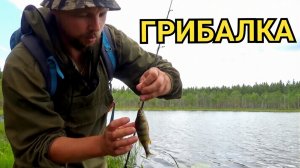 ГРИБАЛКА = грибы +рыбалка.