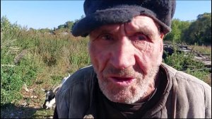 ДВА МЕШКА ПШЕНИЦЫ ДЛЯ СКОТИНЫ ; - ОДИН ПЕТУХ