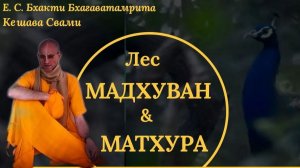 Лес Мадхуван & Матхура / ББ Кешава Свами