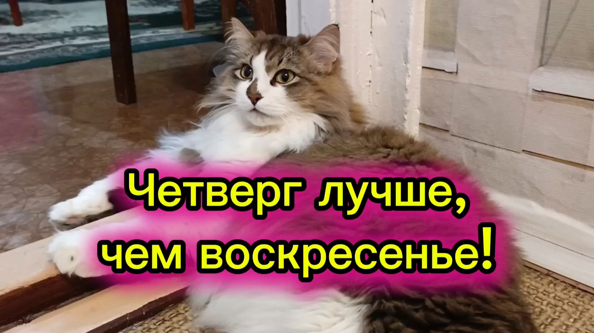 Четверг лучше чем воскресенье! смотреть онлайн