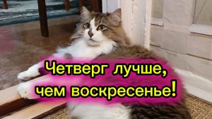 Четверг лучше чем воскресенье!