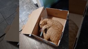 Сейчас  каждый день похож на предыдущий, из-за сильных морозов утро начинается с утепления, натягива