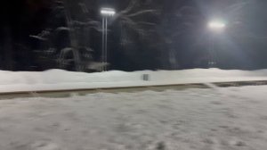 Утренняя обстановка на лесном пруду