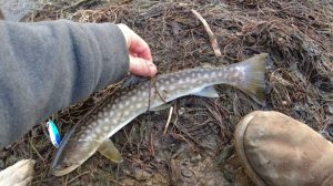 Моя рыбалка