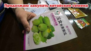Обзор покупок с маркетплейсов: горшки для растений, светильник, грунт торфяной, пластырь корейский