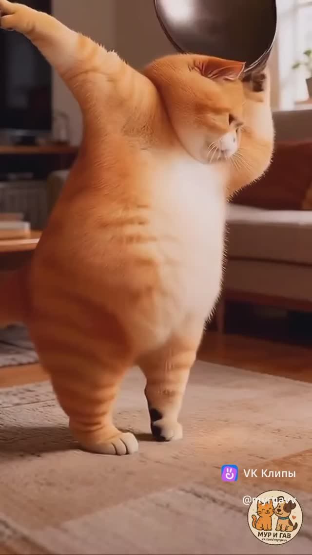 Приколы с животными смотреть онлайн