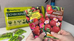 Первые посевы этого года/Земляника Флориан.