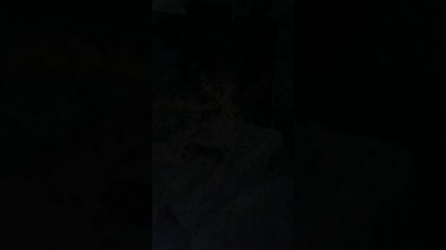 я когда мамы нету дома смотреть онлайн