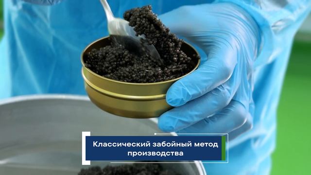 Икорный дом смотреть онлайн