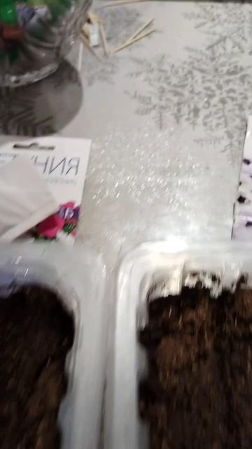 Посадка петуний, часть 2 смотреть онлайн