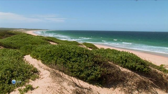 Чудеса природы 4 серия (документальный сериал, 2011) смотреть онлайн