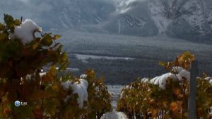 Чудеса природы 10 серия (документальный сериал, 2011)