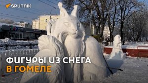 В Гомеле креативно разобрались с последствиями циклона «Уилли»