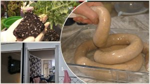 Мои первые домашние колбаски. Пересадила помидоры. Доделали дверные раскладки в ванной