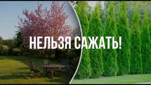 НЕЛЬЗЯ САЖАТЬ ВОЗЛЕ ДОМА!