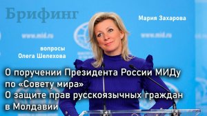 О поручении Президента России МИДу по «Совету мира» - О. Шелехов на брифинге МИД