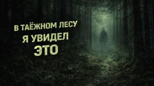 В ТАЁЖНОМ ЛЕСУ Я УВИДЕЛ ЭТО. Страшные. Мистические. Творческие истории
