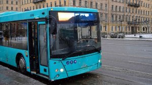 Водитель автобуса избил и угрожал ножом подростку в Пушкине