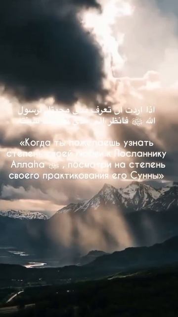 О степени любви к Пророку (Мир Ему). Шейх Шамиль аш-Шафи'ий. смотреть онлайн