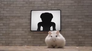 Маленький хомячок мечтает о беззаботной пасторальной жизни и строит роскошную виллу в поле!